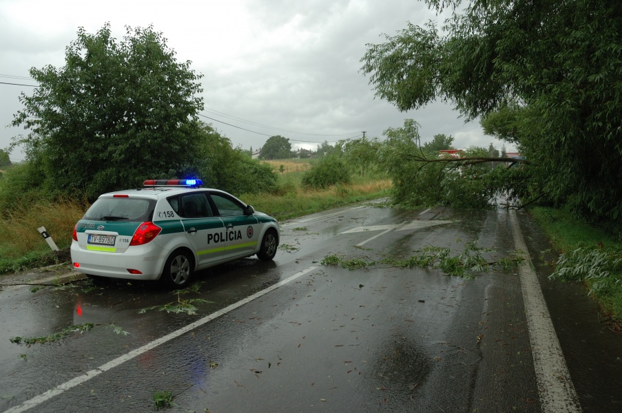 Kia Cee'd police car